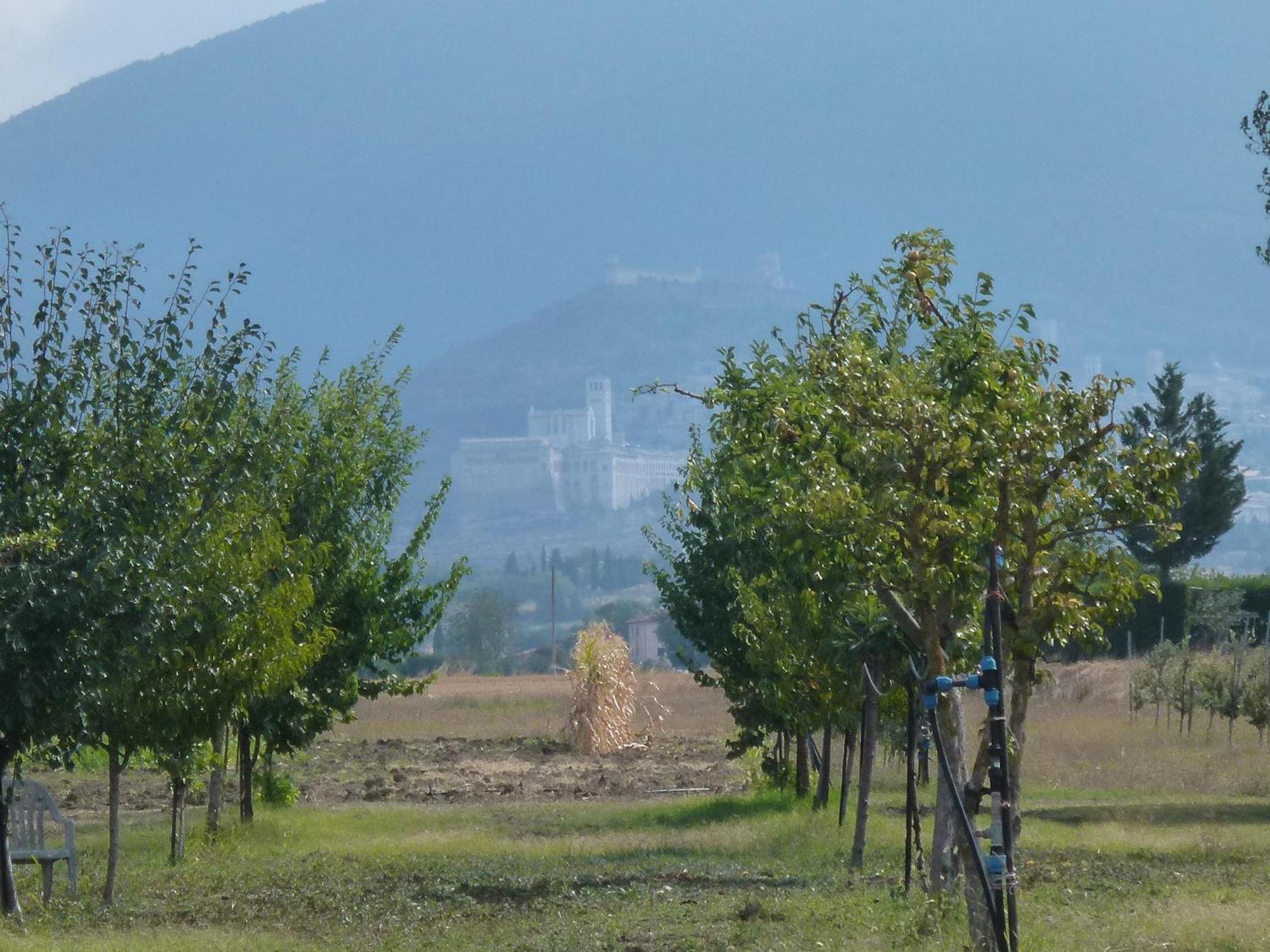 Campiglione Hotel Assisi Kültér fotó